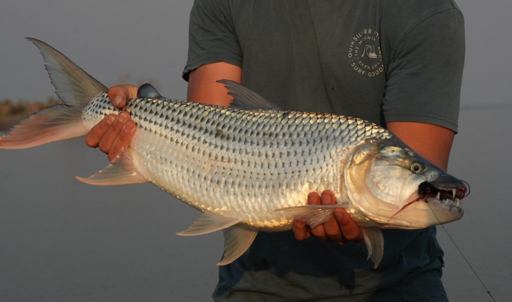 NYERERE FISHING EXPEDITIONS